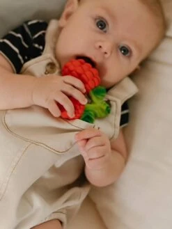 Valery La Framboise - OLI & CAROL Rouge - Oli Et Carol -Périphériques Pour Enfants valery la framboise oli carol 2